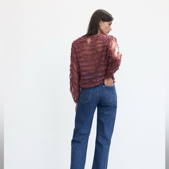 Zara tulle sheer ruffle blouse - Picture 3 of 6